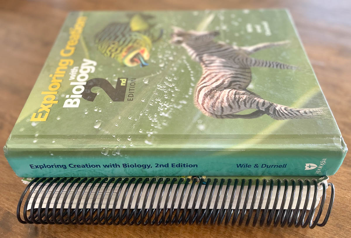 10th-grade-homeschool-curriculum-2022-2023-the-whimsical-homemaker